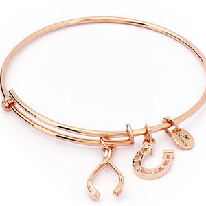Chrysalis-Wishbone Expandable Bangle